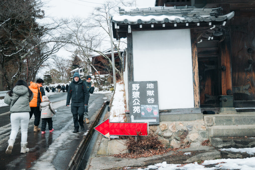 雪景色の中で温泉に浸かる野生のニホンザル（長野県・地獄谷野猿公苑）