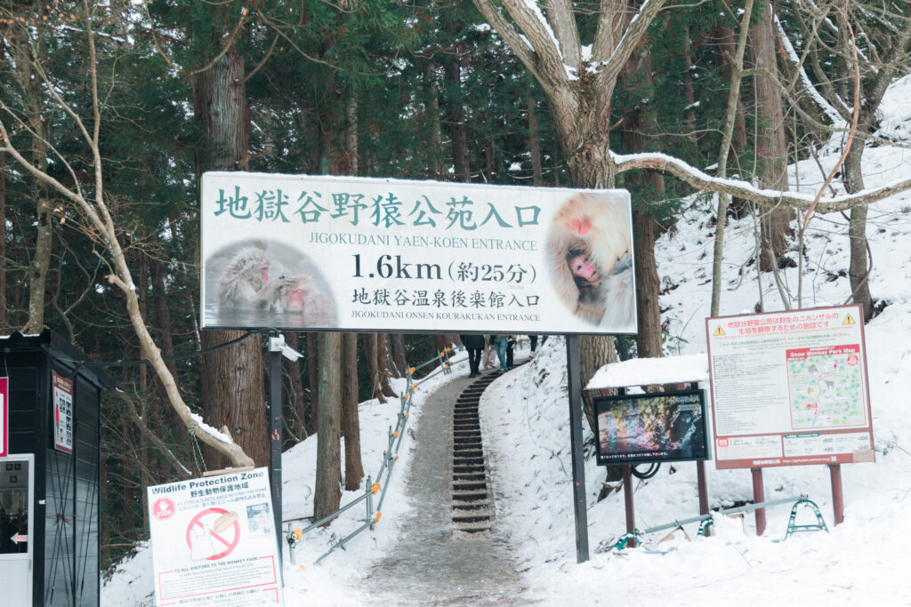 長野県・地獄谷野猿公苑