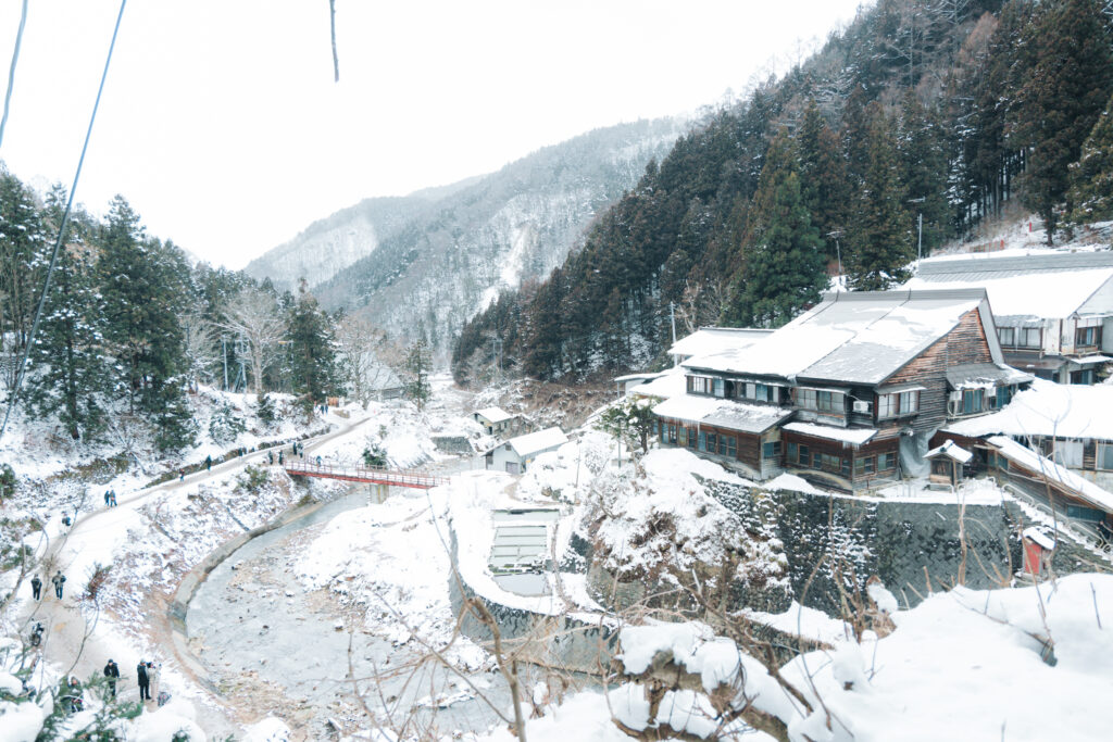 長野県・地獄谷野猿公苑